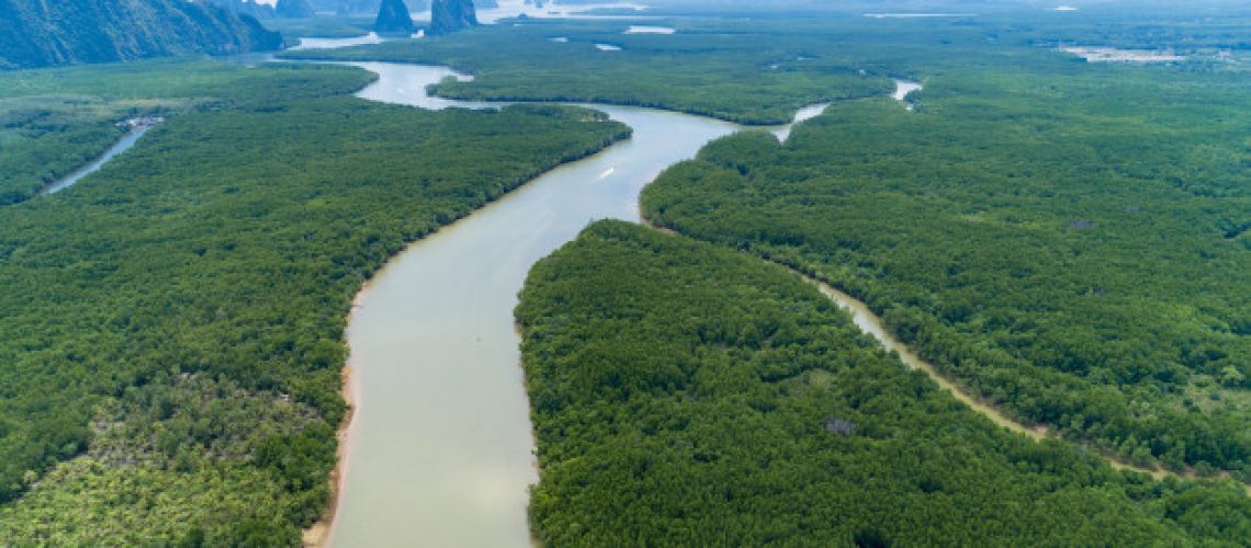 stunning-beautiful-natural-scenery-landscape-view-asia-tropical-mangrove-forest-with-small-island-background-aerial-view-drone-shot-high-angle-view_34362-1478